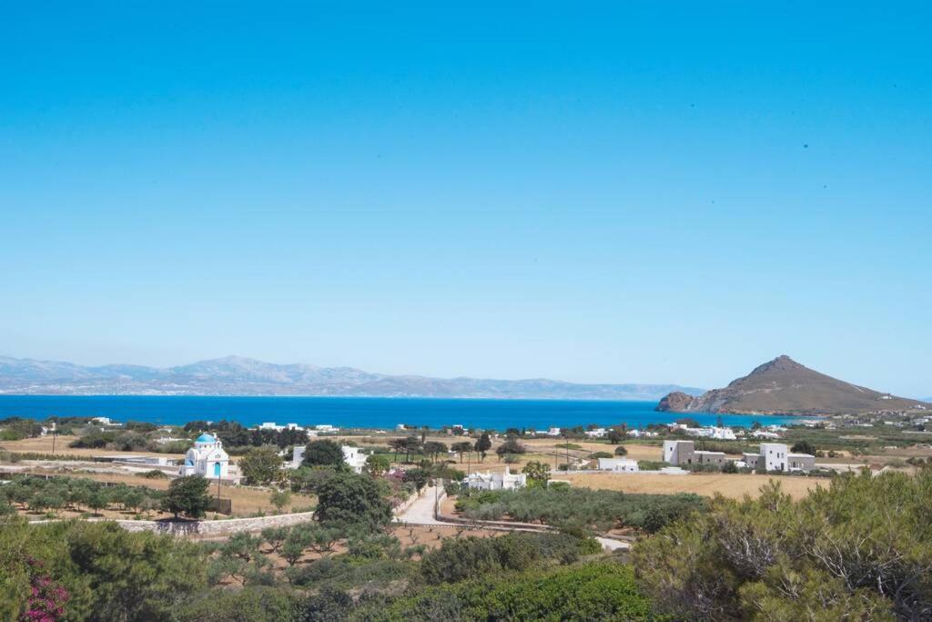 Sunny Studio W.Breathtaking Naxos Views In Isterni Apartment Isterni  Bagian luar foto